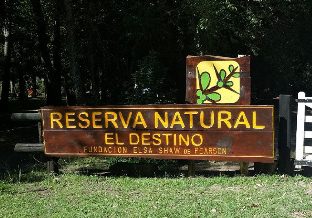 El-Destino-01