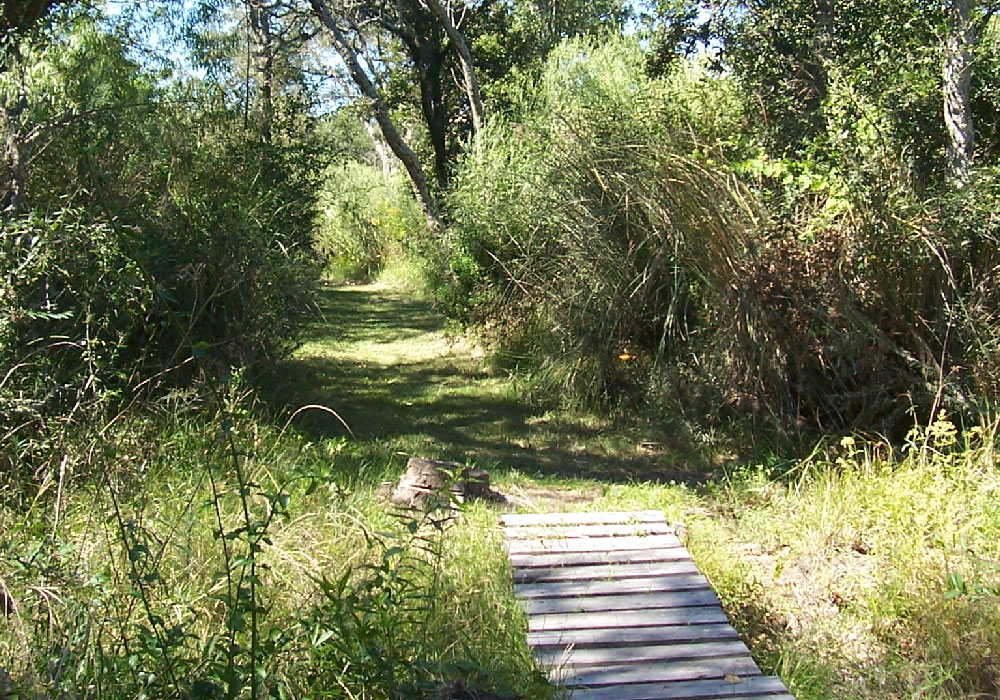 Senderos-del-Monte-04