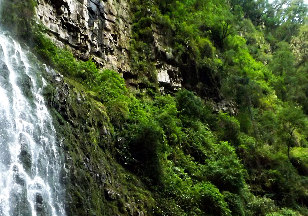 Ecoportal-de-Piedra-05