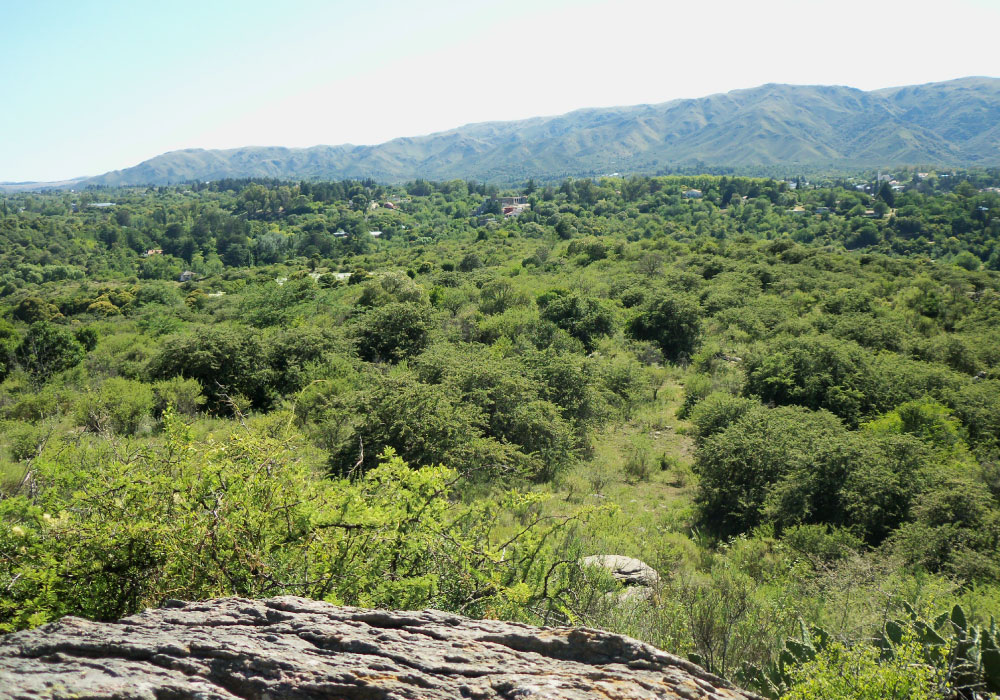 Naguan-Tica-05