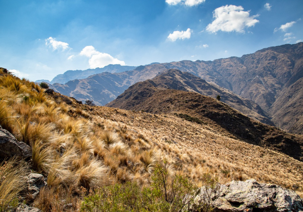 La-Constancia-01
