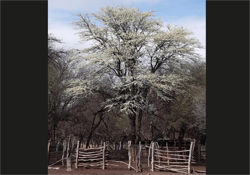 finca-el-paraiso-1
