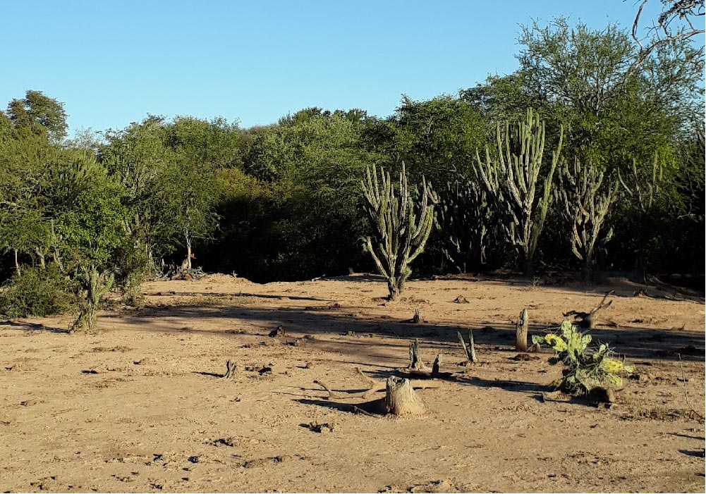 finca-el-paraiso-3