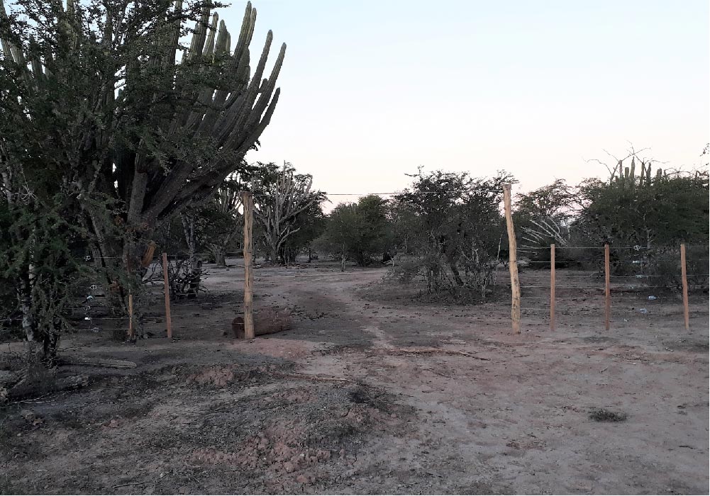 finca-el-paraiso-4