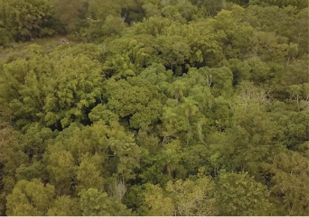 ibera-birding-lodge-4