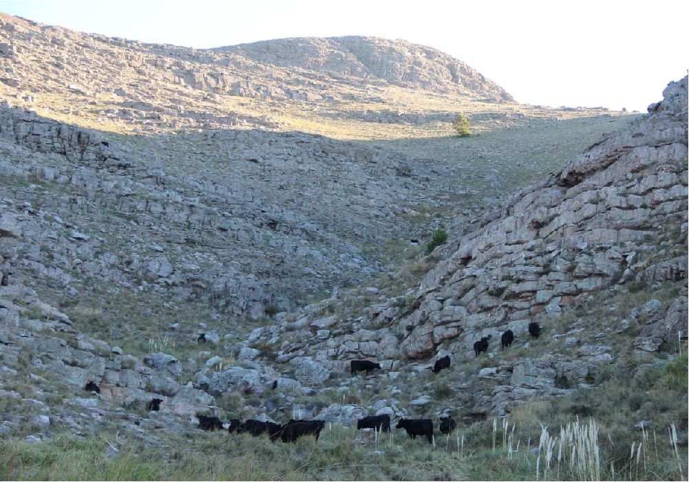 las-piedras-3