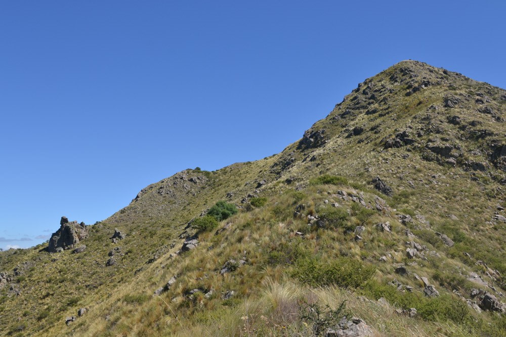 Reserva Privada Volcan Poca-Cerro del Condor (5)
