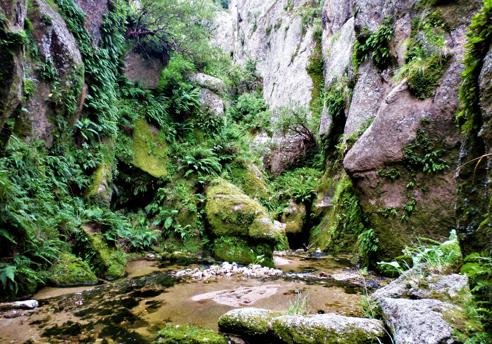 Valle-de-los-Lisos-2024-001