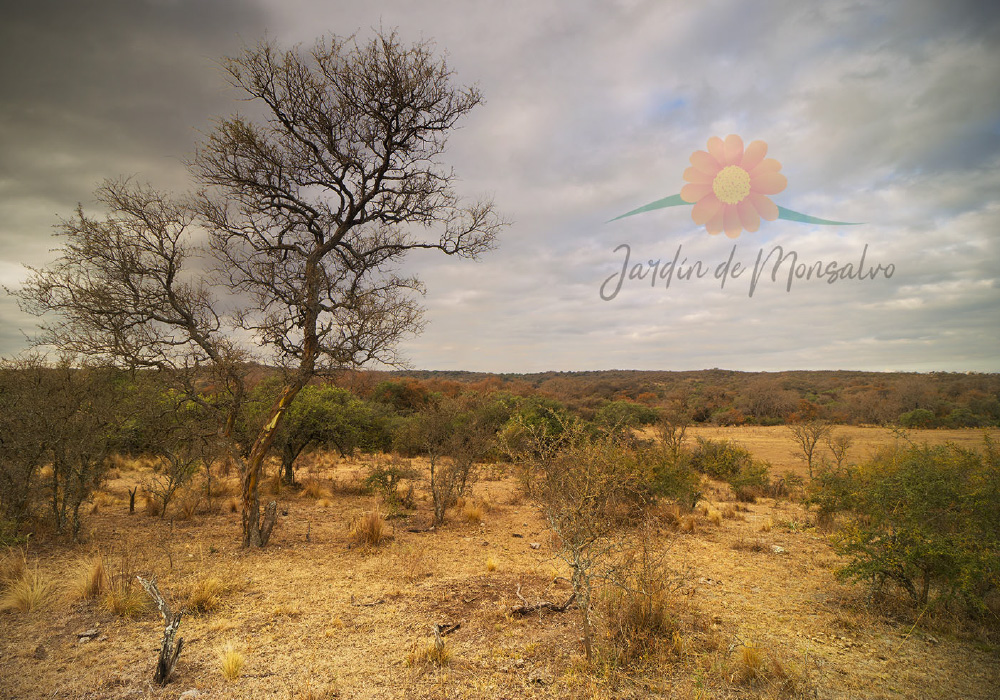 jardin-del-monsalvo-004
