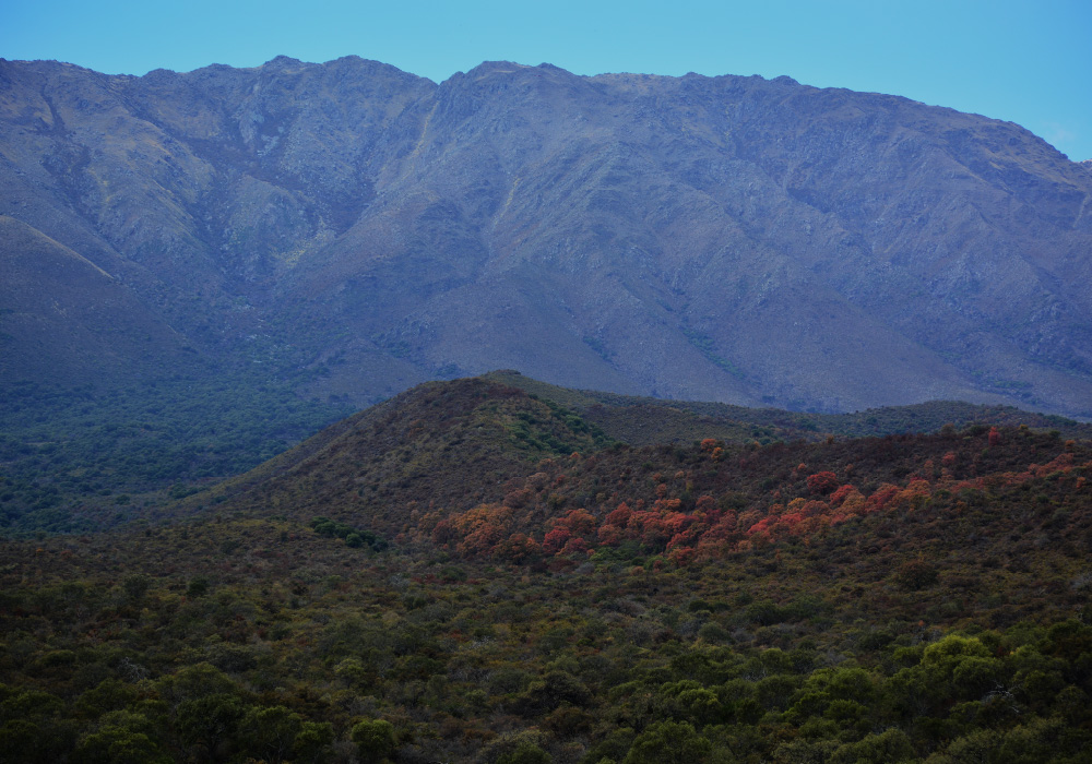 los-barrancos-2024-001