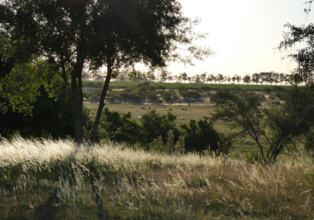 El Rincón