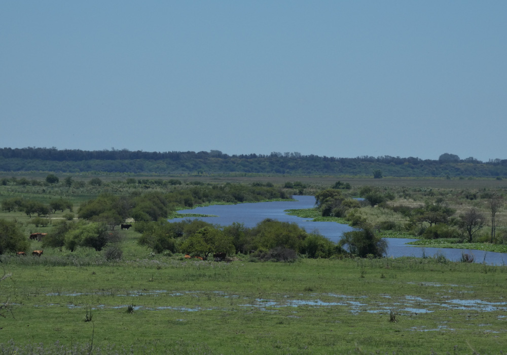 El Rincón