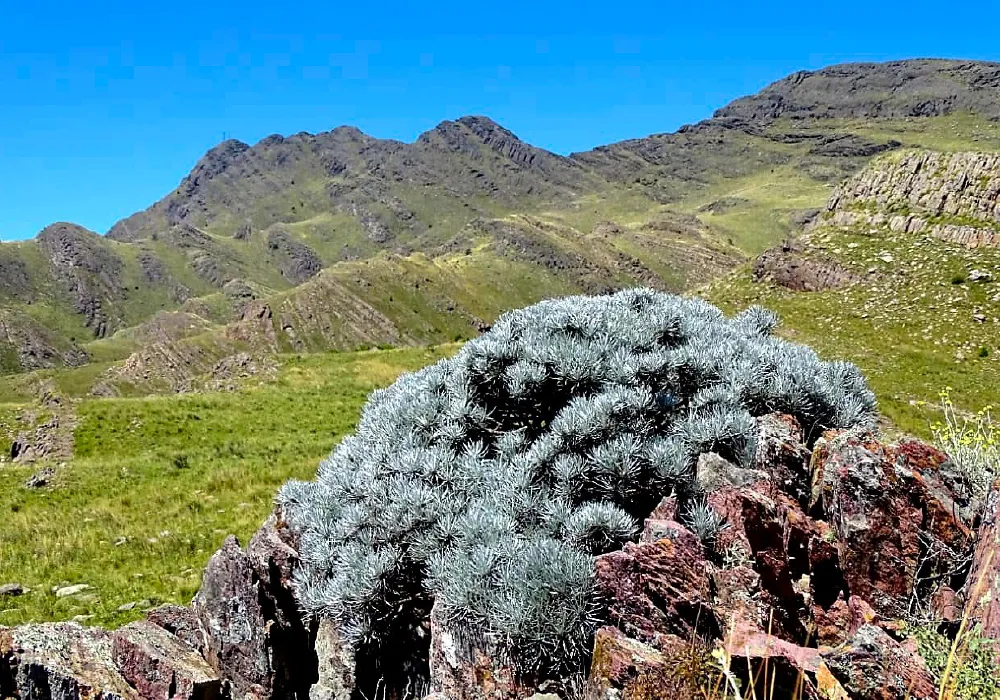las-piedras-005
